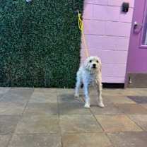 Thumbnail photo of Ember* #2