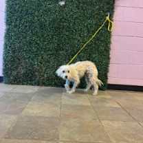 Thumbnail photo of Ember* #3