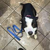 Thumbnail photo of Ruth #1