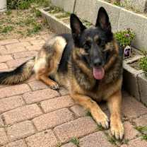 Thumbnail photo of Luna #1