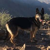 Thumbnail photo of Luna #2