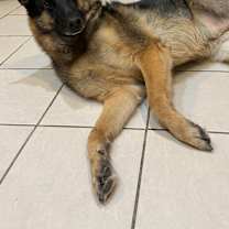 Thumbnail photo of Luna #3