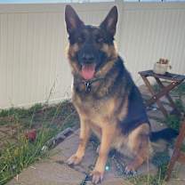 Thumbnail photo of Luna #4