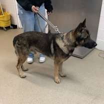 Thumbnail photo of Blake #2