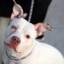 Thumbnail photo of Misty Skye #2