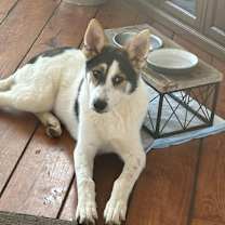 Thumbnail photo of Betty #1