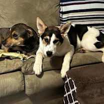 Thumbnail photo of Betty #4