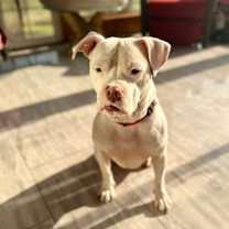 Thumbnail photo of Casper #2