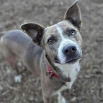 Thumbnail photo of Chance #3