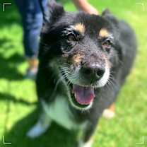 Thumbnail photo of PUMBA #4