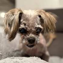 Thumbnail photo of Gladys #1