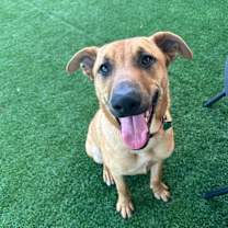 Thumbnail photo of Jonas #4