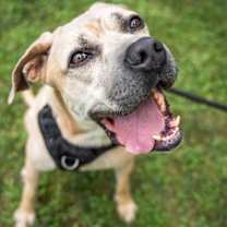 Thumbnail photo of Barry #1