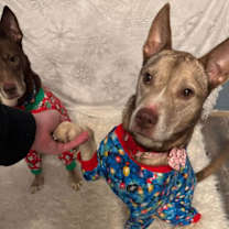 Thumbnail photo of Maine and Virginia #3