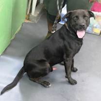 Thumbnail photo of $00 Peri #2