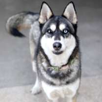 Thumbnail photo of Jaynie #3