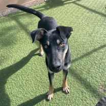 Thumbnail photo of Happy #2