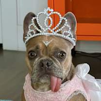 Thumbnail photo of Pumpkin #3