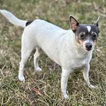 Thumbnail photo of Princess #2