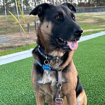 Thumbnail photo of Maddie   #1