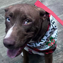 Thumbnail photo of Josie Robinson #2