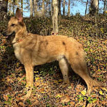 Thumbnail photo of Anastasia #1