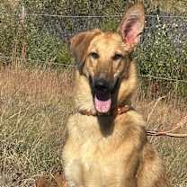 Thumbnail photo of Anastasia #4