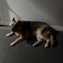 Thumbnail photo of Layla #2