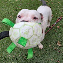 Thumbnail photo of Atticus JuM #1