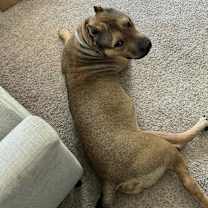 Thumbnail photo of Tracy #3