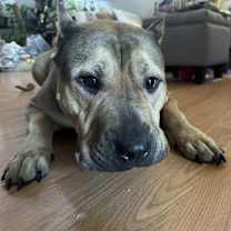 Thumbnail photo of Tracy #4