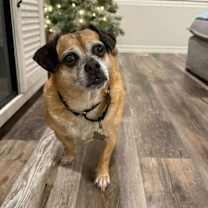 Thumbnail photo of Chugs #2