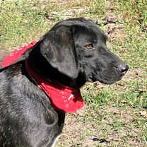 Thumbnail photo of Jethro #2