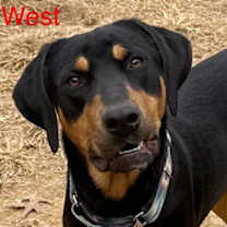 Thumbnail photo of West Roscoe #1