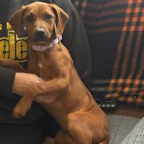 Thumbnail photo of Ginny #1