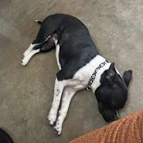 Thumbnail photo of Ellie Bean #2