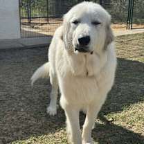 Thumbnail photo of CASPER #2