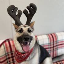 Thumbnail photo of Jessica #1