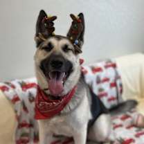 Thumbnail photo of Jessica #2