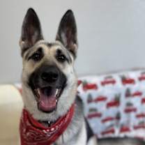 Thumbnail photo of Jessica #3