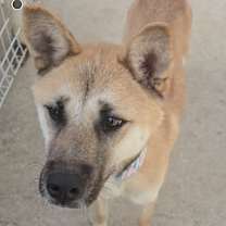 Thumbnail photo of Wonbeen #4