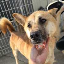 Thumbnail photo of Wonbeen #2