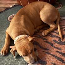 Thumbnail photo of Tootie #4