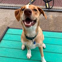 Thumbnail photo of Maya #1