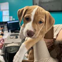 Thumbnail photo of Maya #2