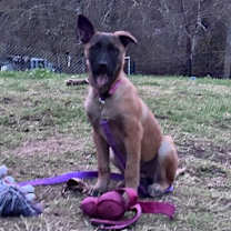 Thumbnail photo of Autumn #2