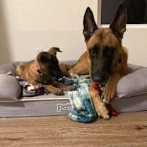 Thumbnail photo of Autumn #3