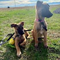 Thumbnail photo of Autumn #4