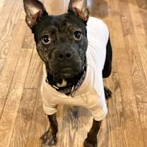 Thumbnail photo of Berri #4