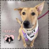 Thumbnail photo of Fannie Mae #4